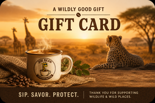 Joe Bean Gift Card